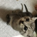 45日程度の男の子