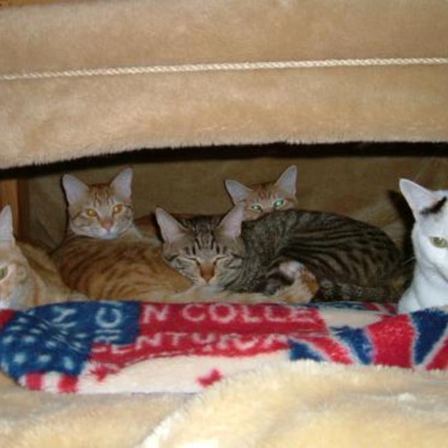 ☆sepia☆のカバー写真