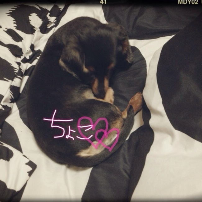 co1203のカバー写真