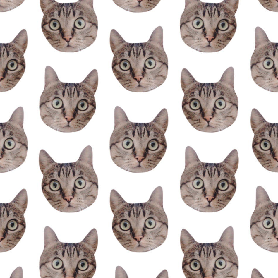 すずのカバー写真