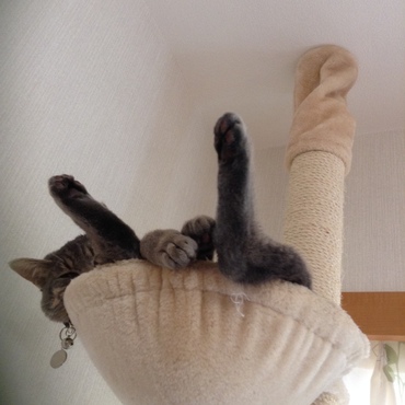 寝相はかなりなもんだったよね。