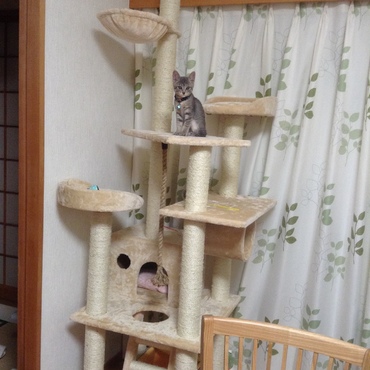 こんなに小さかったのに。