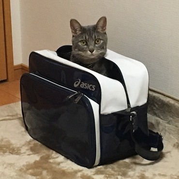 ここにも、笑