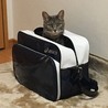 ここにも、笑