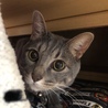 よくかくれんぼしたね。