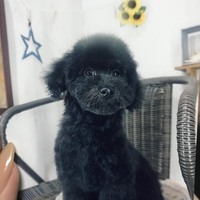 アズゥ
