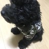 の写真