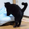  さん