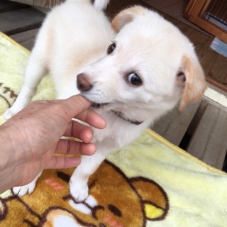 里親さま決まりました☆