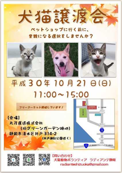静岡市清水区で開催 犬 一般社団法人radiante静岡 ラディアンテ静岡 のイベント 5596 ペットのおうち 月間利用者150万人 静岡市清水区で開催 犬 一般社団法人radiante静岡 ラディアンテ静岡 のイベント 5596 ペットのおうち 月間利用者150万人
