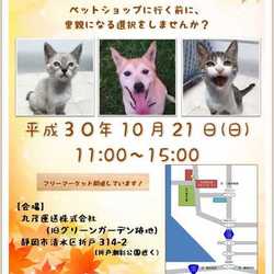 静岡市清水区で開催！　犬猫譲渡会