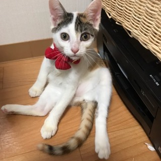 管理番号：OS−684