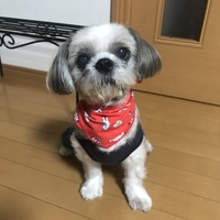 メロン