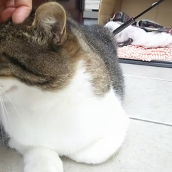 「このままで。という訳にはいかない」サムネイル2