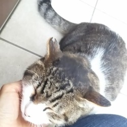 「このままで。という訳にはいかない」サムネイル3