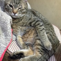 じげん