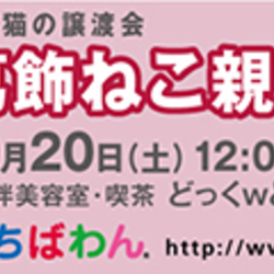 ちばわん葛飾ねこ親会
