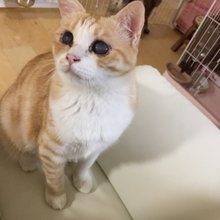 ミルクティー色の可愛い光希ちゃん