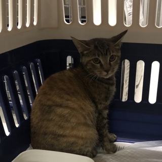 里親様が決まりました♡有難うございました！