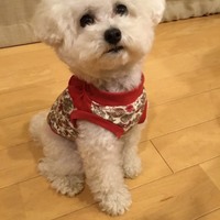 ベル