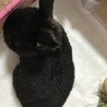 きゆき