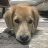 ひかる