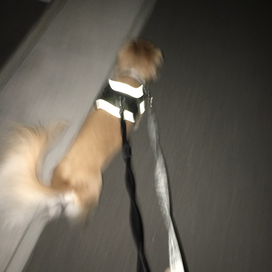 ひかるのカバー写真