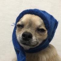 なゆた