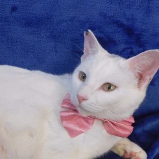 感謝❣️素晴らしい家族様と出逢えました❣️