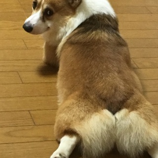 新しい家族にしてください。