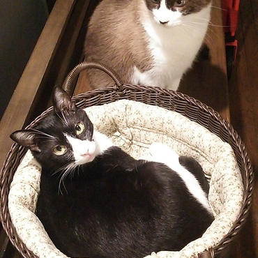 順番待ち。。。