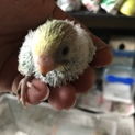 たくさんの応募ありがとうございました