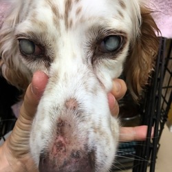 「ロングステイに挑戦‼︎」サムネイル2