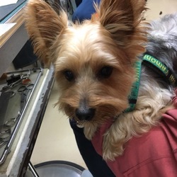 「ロングステイに挑戦‼︎」サムネイル3