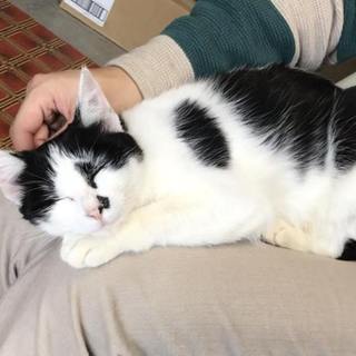 里親決定❤️パリンちゃん❤️