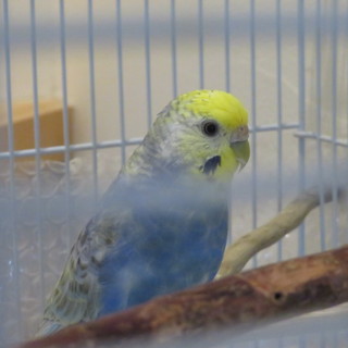 メッセージいただいた方々、ありがとうございました