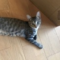 利発活発なメグちゃん4ヶ月