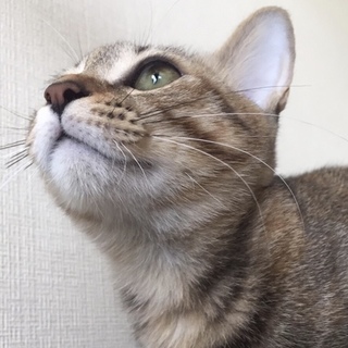 とっても可愛い麦わら女子、ふうかです❣️