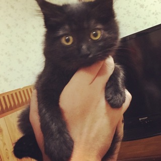 沢山のご応募有難う御座いました！