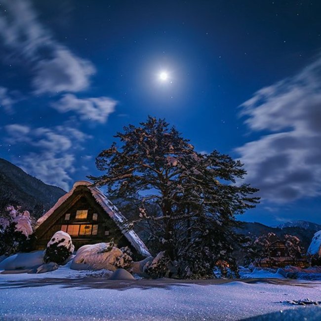 ゴン太2850のカバー写真