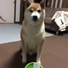 ラッキー