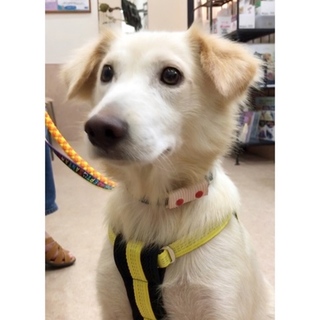 ゆき♡美人さんです