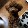 るきママ