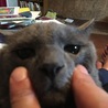 の写真