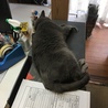 の写真