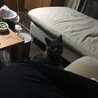 の写真