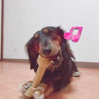 スリンキー