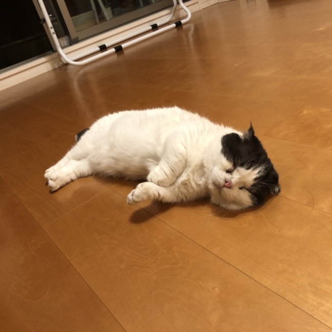 まな2015のカバー写真