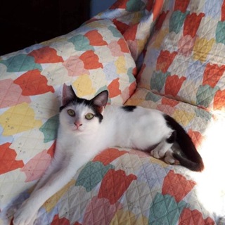 ありがとうございました