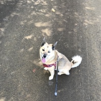 ミュー